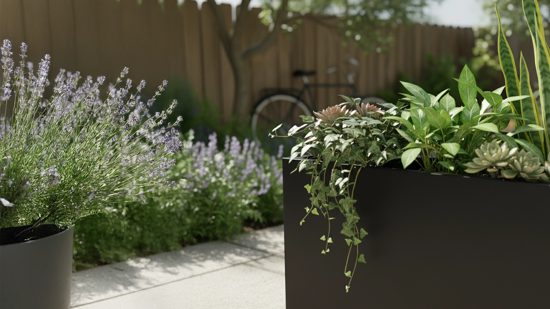 cantero-negro-contexto-banner