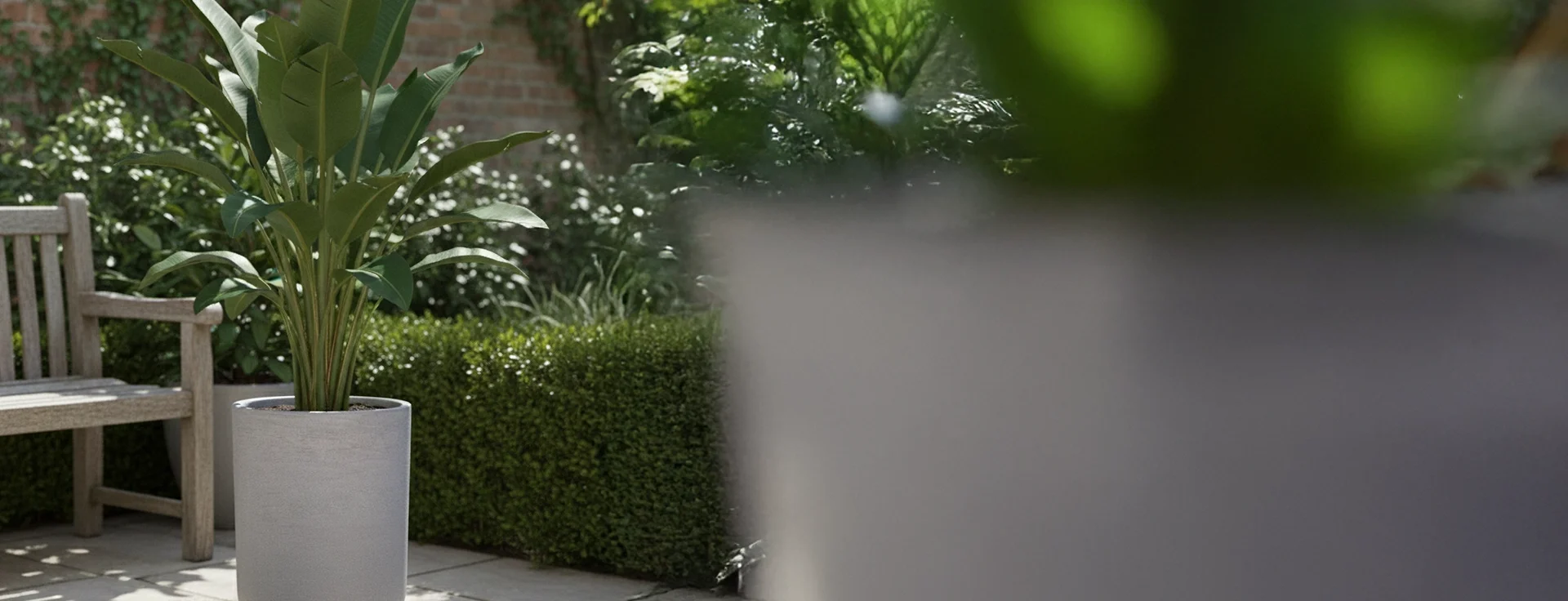 tartagal-gris-texturada-contexto